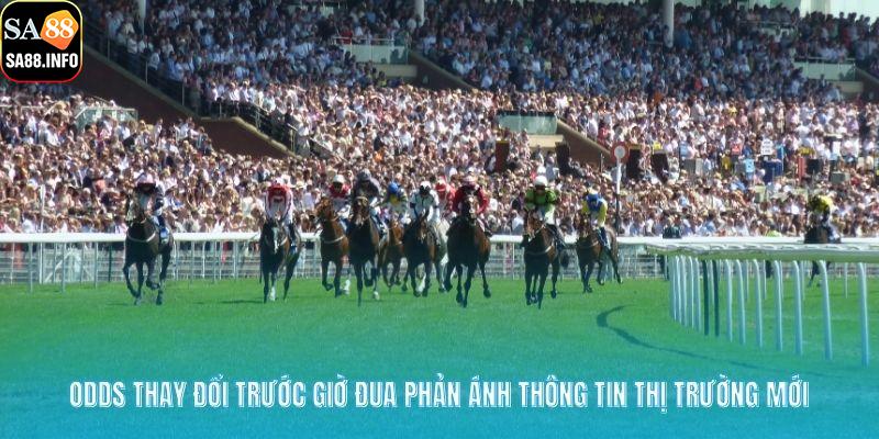 Odds thay đổi trước giờ đua phản ánh thông tin thị trường mới