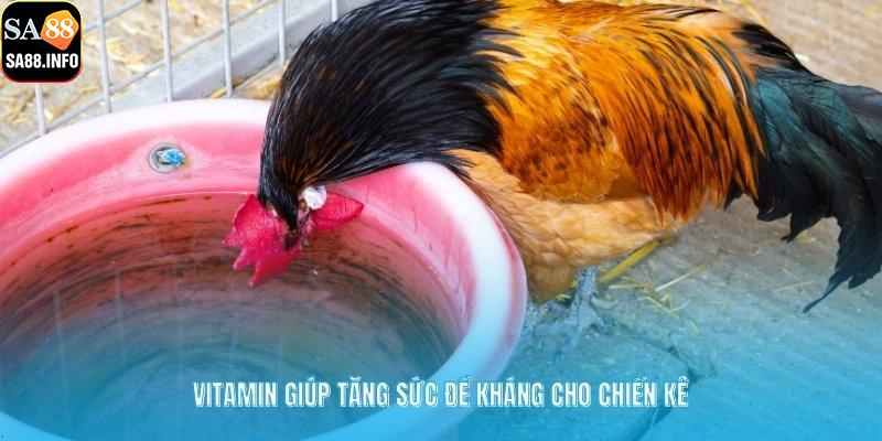 Vitamin giúp tăng sức đề kháng cho chiến kê