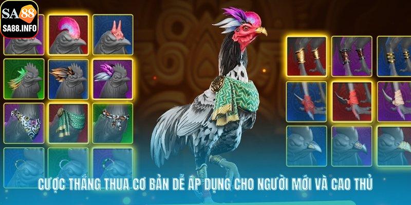 Cược thắng thua cơ bản dễ áp dụng cho người mới và cao thủ