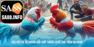 Đọc kèo đá gà