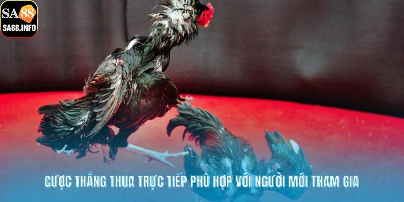 Cược thắng thua trực tiếp phù hợp với người mới tham gia